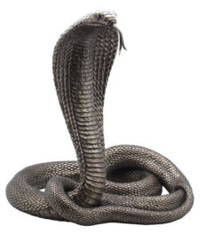 cobra