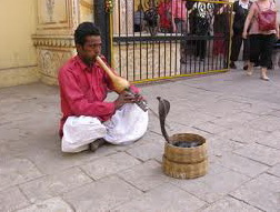 snake charmer