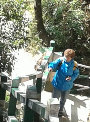 falls2