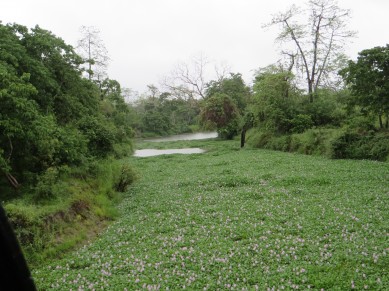 scene22