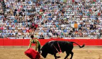 Bull Fight or Bull’s Public Butchery?